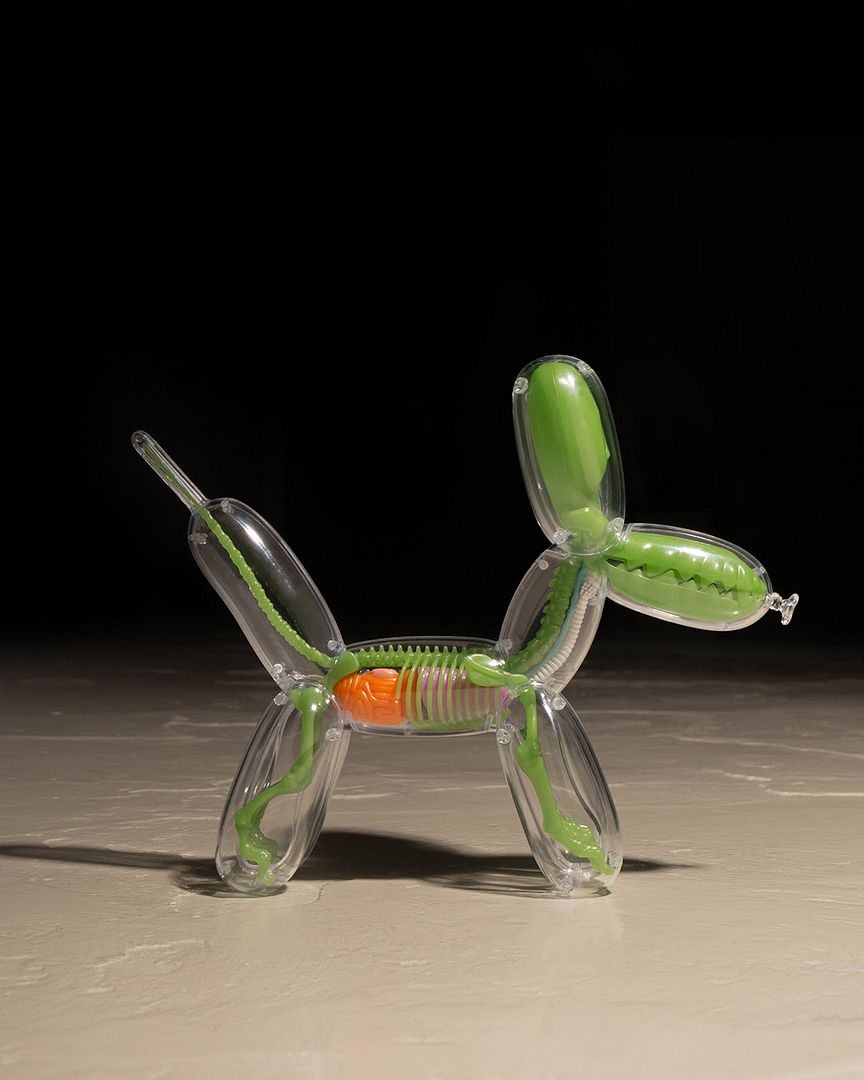 Mighty Jaxx presents Balloon Dog Anatomy (GID Edition) by Jason Freeny